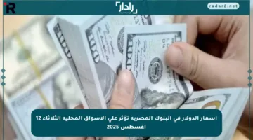 أسعار الدولار في البنوك المصرية تؤثر على الأسواق المحلية الثلاثاء 12 أغسطس 2025